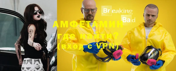 молекула духа Мегион