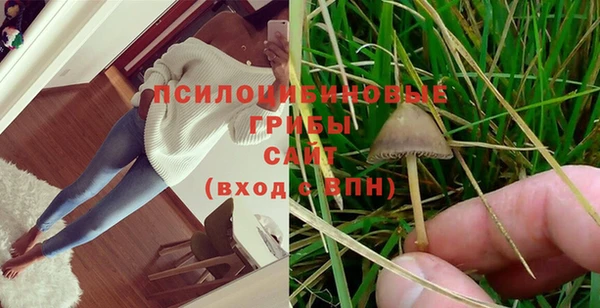 молекула духа Мегион