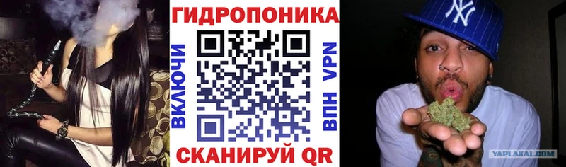 Купить закладки  Казань  Конопля план 